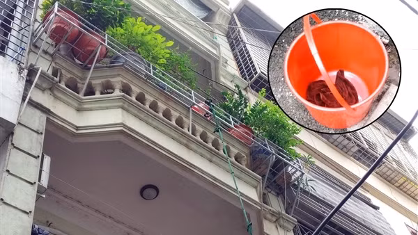 Bé 5 tháng tuổi được bà cho vào xô dòng dây thoát khỏi đám cháy