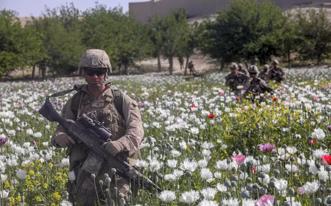 Taliban liệu thể xóa bỏ có “nền kinh tế thuốc phiện” ở Afghanistan? -0