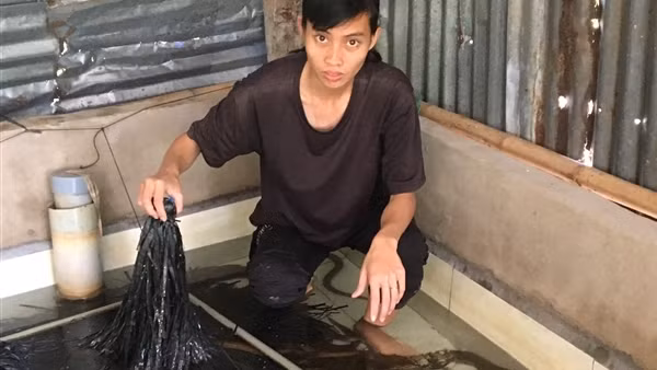 Nhiều dự án khởi nghiệp thành công trong đại dịch ảnh 2