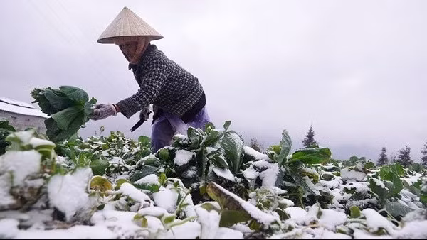 Từ 1/12, vùng núi có nơi rét dưới 5 độ C ảnh 2