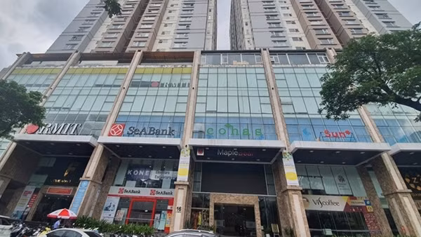 Không thể nói lấp, lấn sông Hàn là hợp lý! ảnh 2