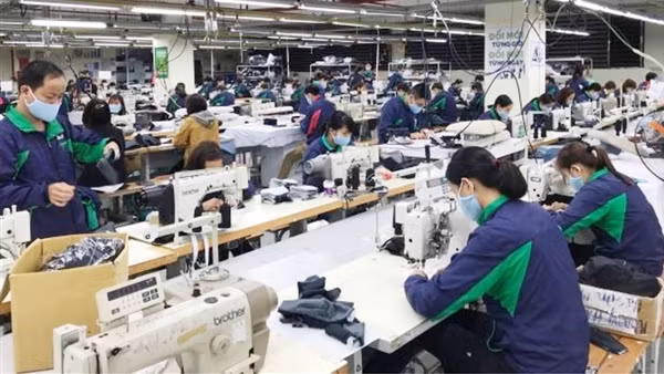 Đẩy mạnh chuyển đổi số trong xuất khẩu ảnh 4