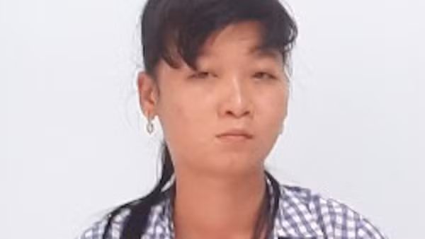 Giả đối tác để lừa đảo chiếm đoạt tiền của công ty ảnh 2
