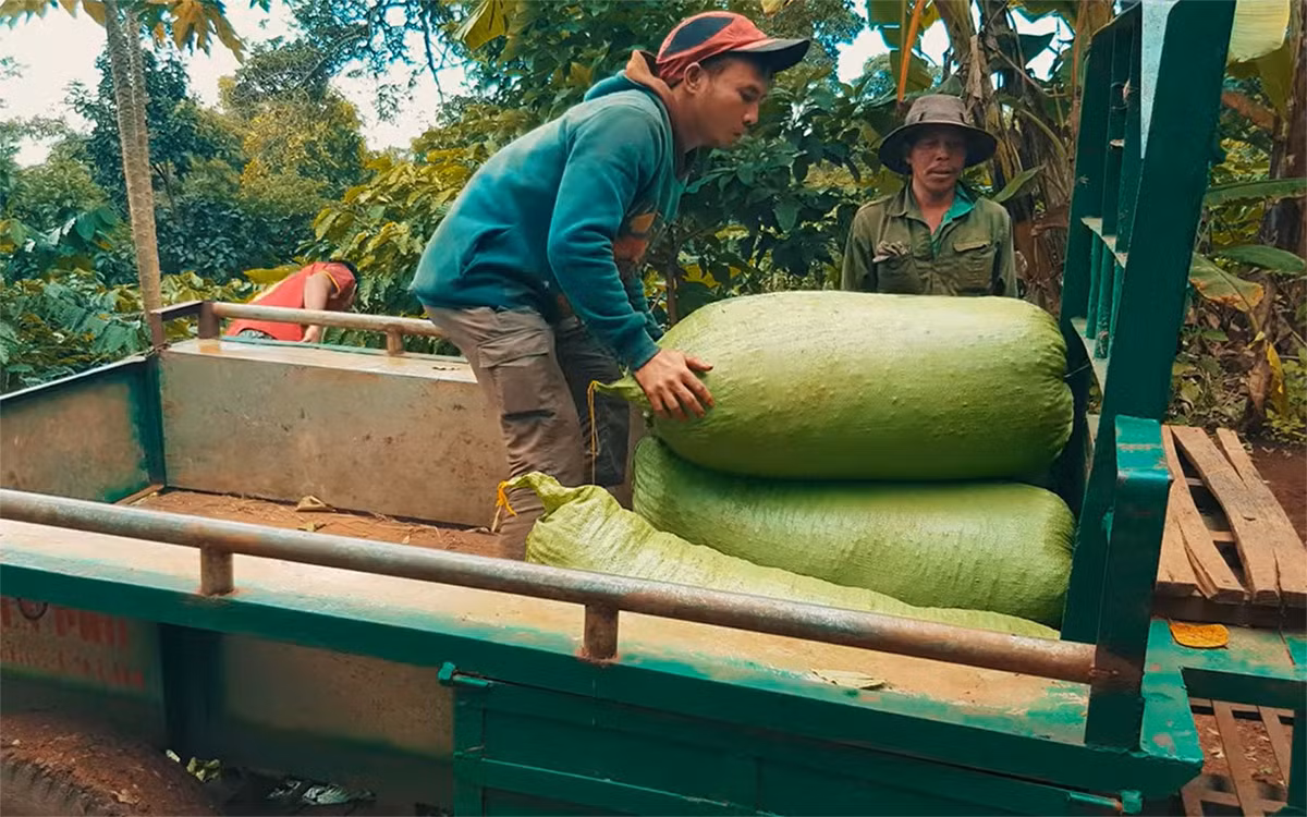 Những nụ cười nương rẫy -0