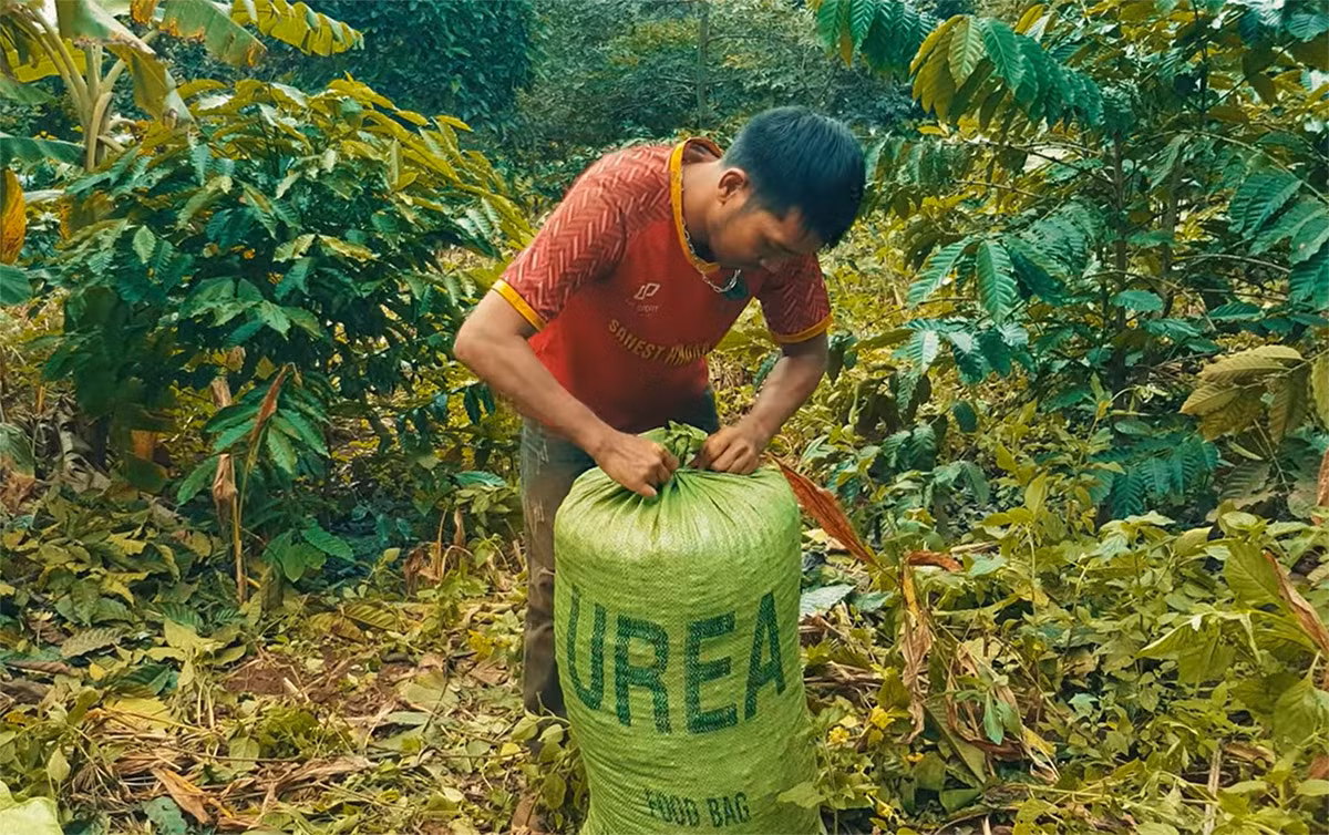 Những nụ cười nương rẫy -0