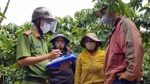 Giữ bình yên cho mùa thu hoạch cà phê ở Tây Nguyên