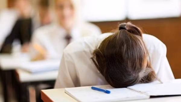 Vượt qua áp lực thi cử: Sẻ chia thay kỳ vọng ảnh 5