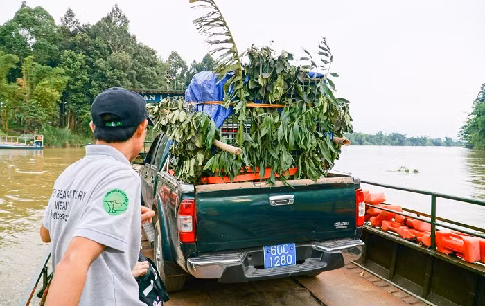 Giải cứu cá thể gấu đưa về Vườn Quốc gia Cát Tiên -0