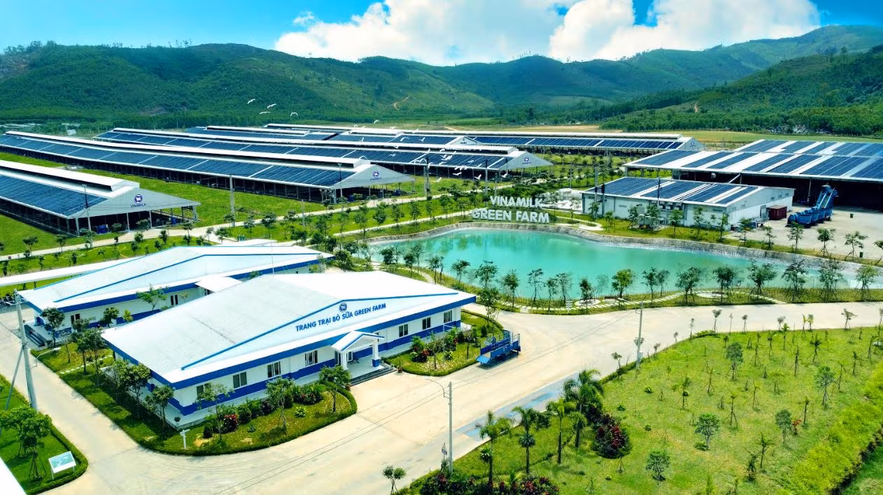 Vinamilk Green Farm – mô hình trang trại bò sữa phát triển bền vững -0