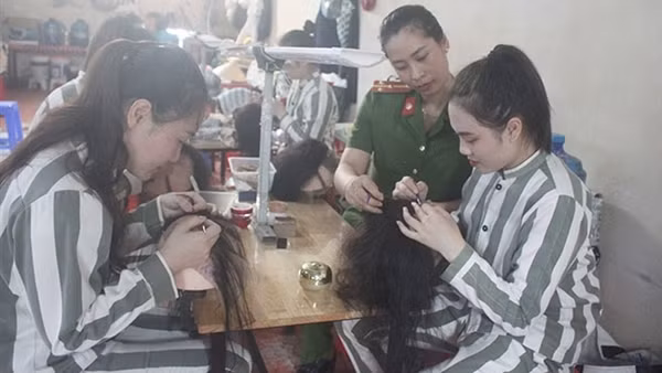 Lao động cải tạo, biện pháp nhân văn trong thi hành án phạt tù ảnh 4