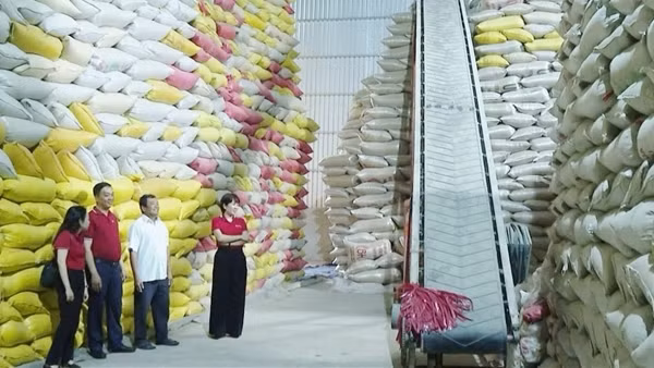 Vốn Agribank, đòn bẩy cho nông hộ