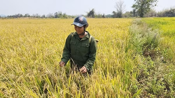 Dòng nước mát đưa xã biên giới ấm no