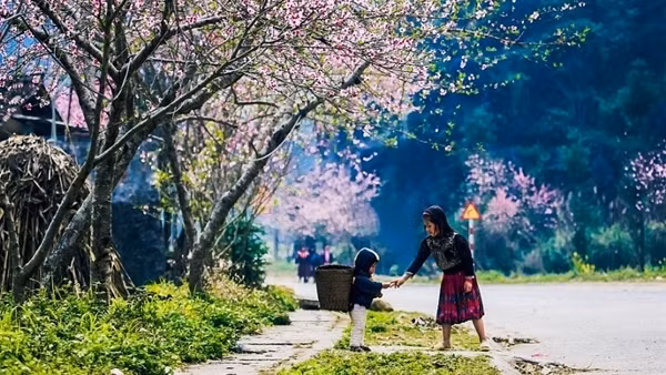 Miền Bắc mùng 2 Tết nắng ấm, Trung Bộ mưa nhiều nơi