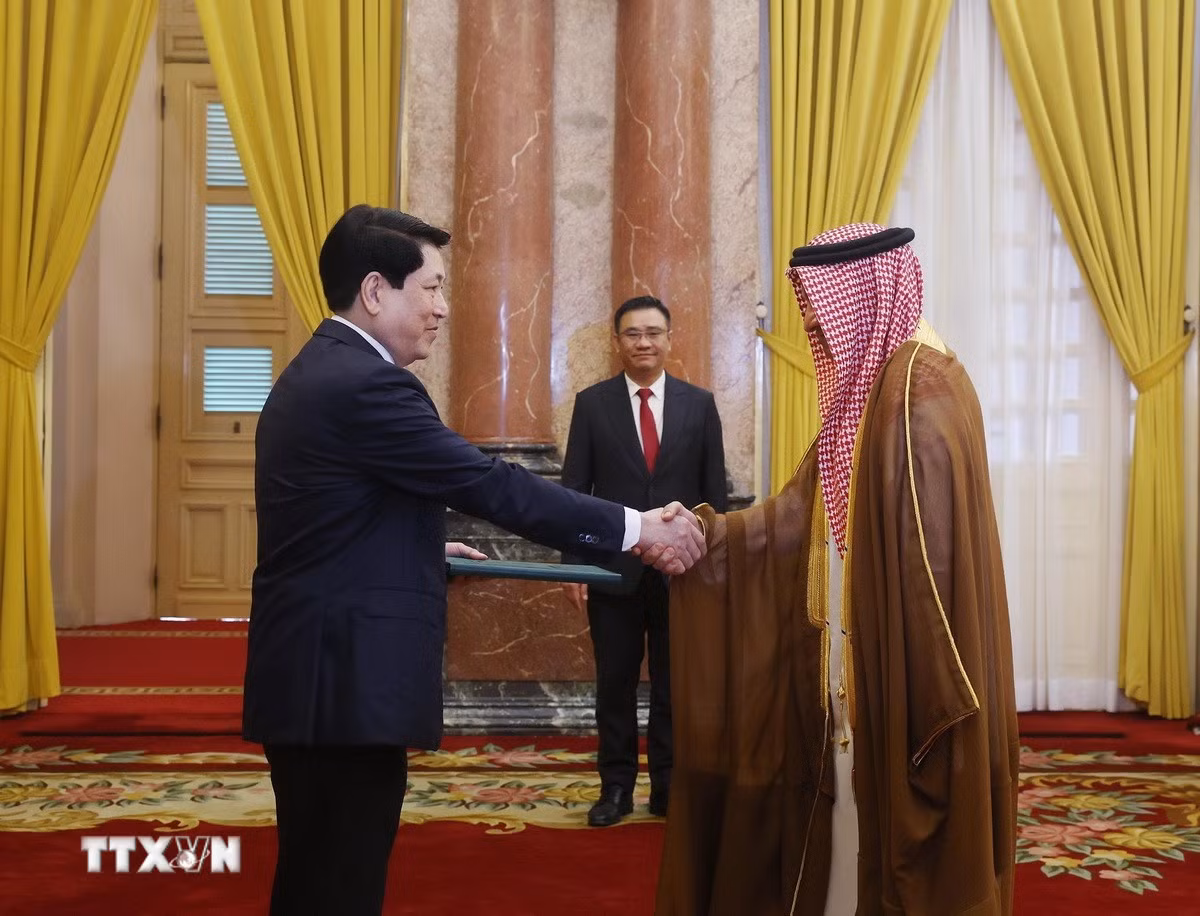 Chủ tịch nước tiếp Đại sứ Campuchia, Saudi Arabia, Dominica trình Quốc thư -0