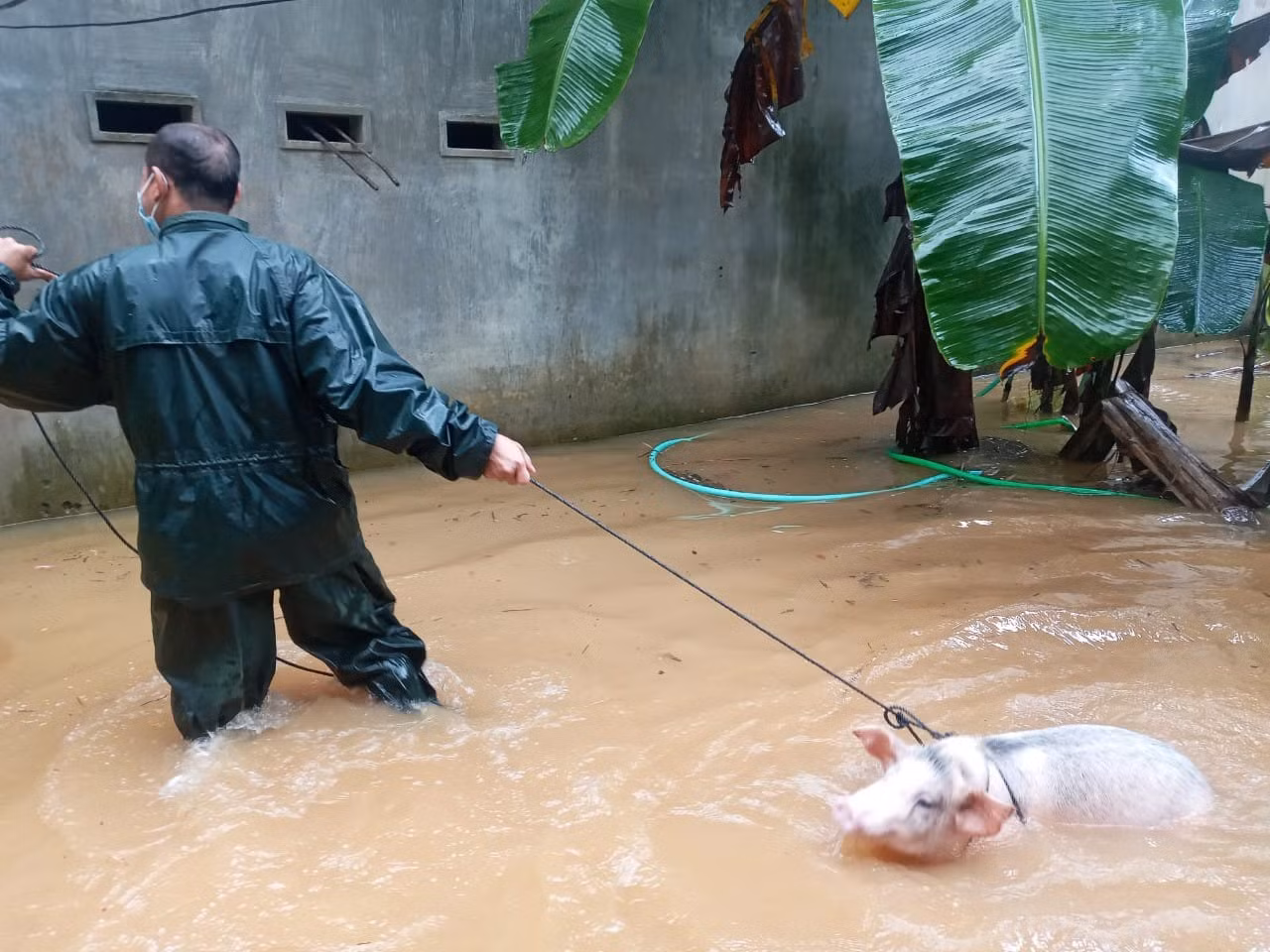 Mưa lũ ở Bình Định gây chia cắt giao thông, hàng trăm ngôi nhà chìm trong nước -0