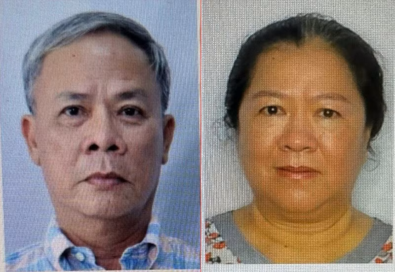 Đinh Trường Chinh, Chủ tịch HĐQT Công ty HDTC từng phạm tội cướp giật và lừa đảo chiếm đoạt tài sản -0