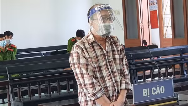 Giả đối tác để lừa đảo chiếm đoạt tiền của công ty ảnh 4