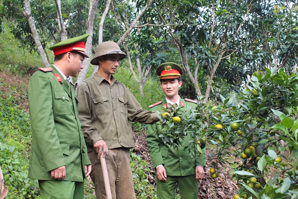 anh 4.jpg -0