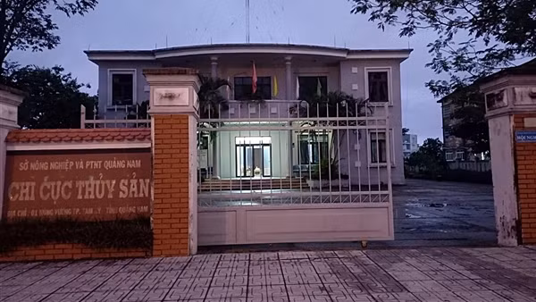 Cựu Chi cục trưởng Thủy sản Quảng Nam lĩnh án 14 năm tù ảnh 2