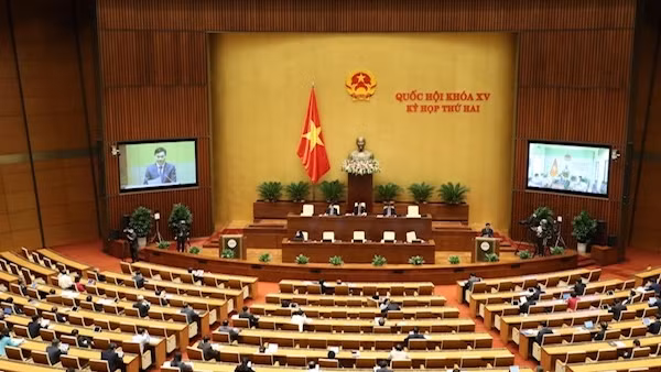 Lô hàng cứu trợ TP Hồ Chí Minh về gần 1 tháng chưa lấy ra được là lỗi do ai? ảnh 2