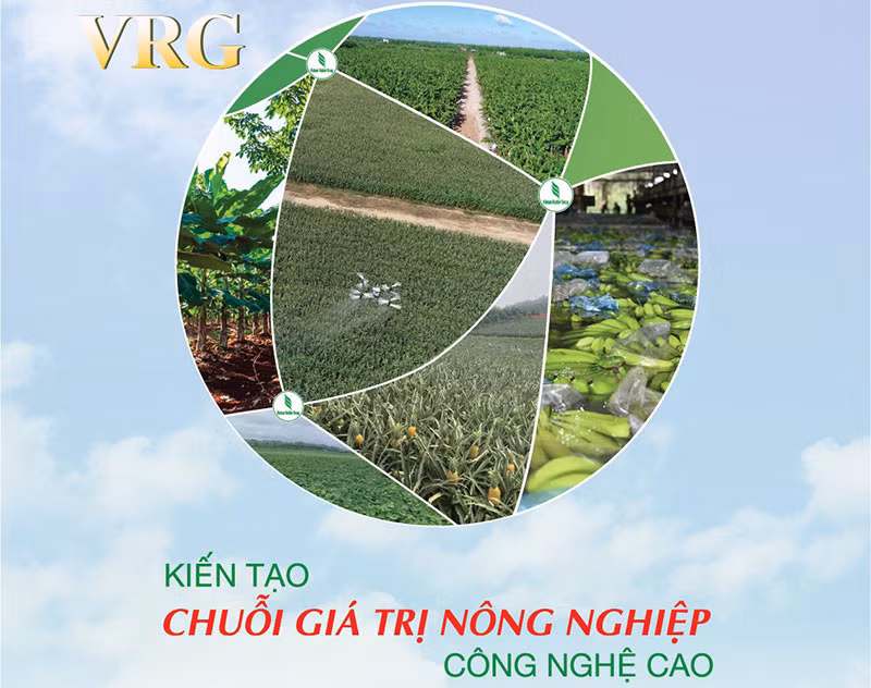 VRG quyết tâm hoàn thành thắng lợi kế hoạch sản xuất kinh doanh và đầu tư năm 2026 -0