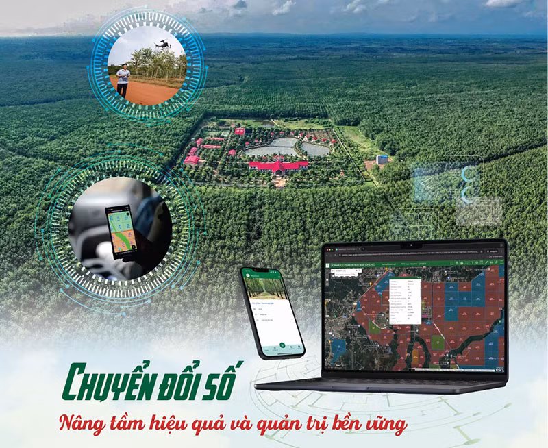 VRG quyết tâm hoàn thành thắng lợi kế hoạch sản xuất kinh doanh và đầu tư năm 2026 -0