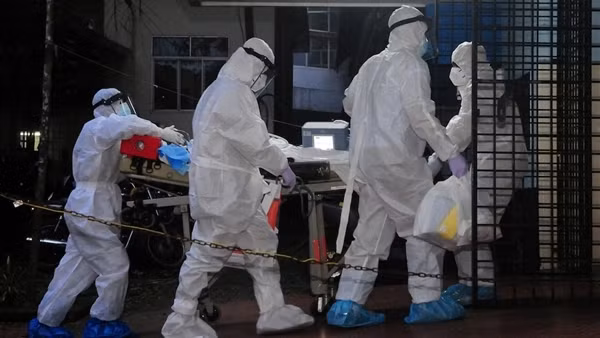 Virus Nipah quay lại Ấn Độ, nhiều nước tăng cường kiểm tra y tế
