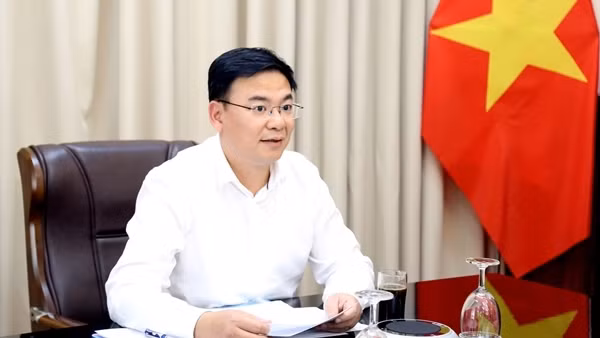 Lập Ban chỉ đạo về công tác bảo hộ công dân Việt Nam ở nước ngoài