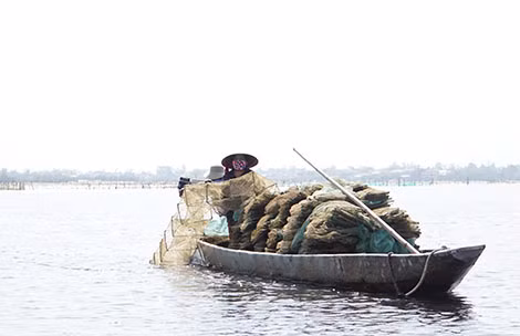 Xuân về trên phá Tam Giang -0