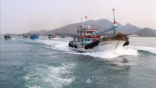 Tăng cường tuyên truyền cho ngư dân ra khơi đầu năm về chống khai thác hải sản bất hợp pháp