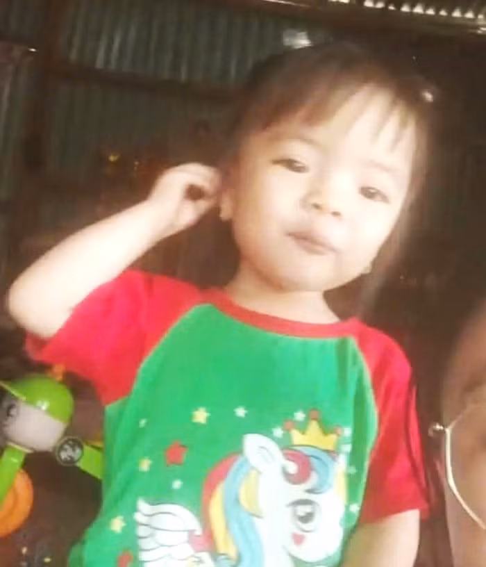 Nỗ lực tìm kiếm bé gái 2 tuổi mất tích bí ẩn ở Lâm Đồng -0