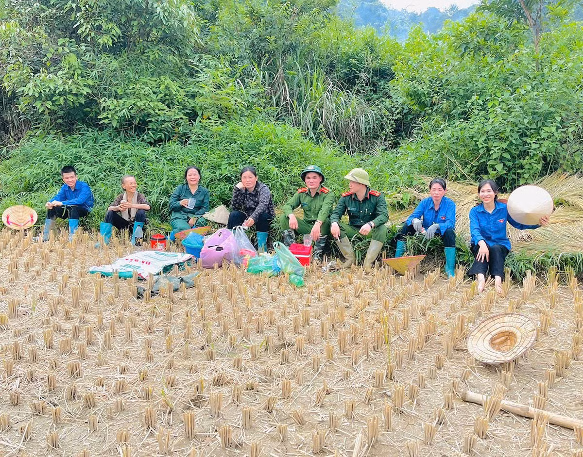 Lạng Sơn: Công an xã Tân Văn phối hợp hỗ trợ người dân thu hoạch&nbsp;lúa mùa vụ -4
