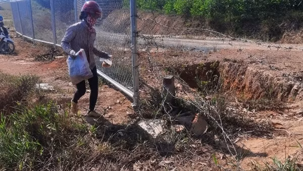 Nguy cơ tai nạn giao thông khi hàng rào bảo vệ cao tốc bị tháo dỡ