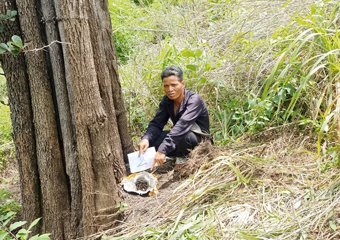 Triệt phá vụ tàng trữ súng quân dụng và hàng chục viên đạn tại Gia Lai -0