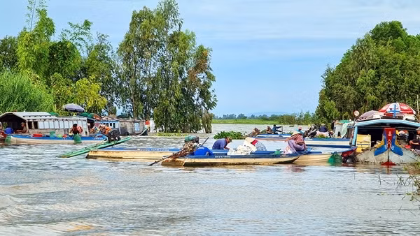 Sản xuất nông nghiệp bền vững cho vùng đồng bằng sông Cửu Long