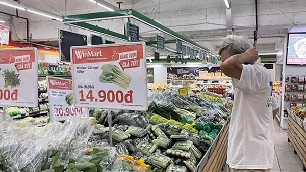 Rau trôi nổi “đột lốt” rau VietGAP: Không thể quản lý chất lượng bằng… niềm tin
