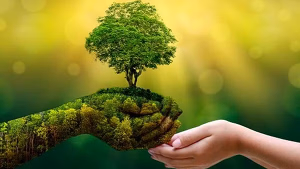 Tăng trưởng xanh để phát triển bền vững