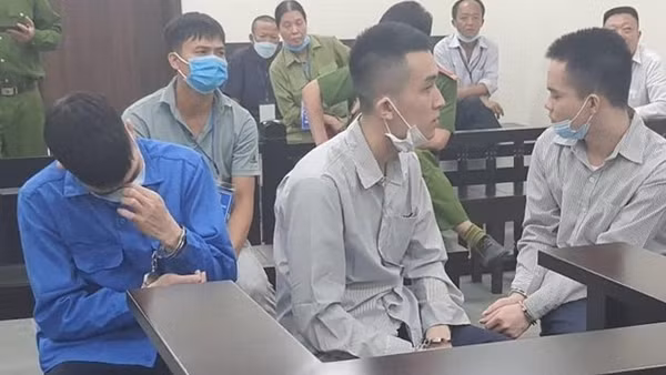 Lừa bán lan đột biến chiếm đoạt hàng tỷ đồng