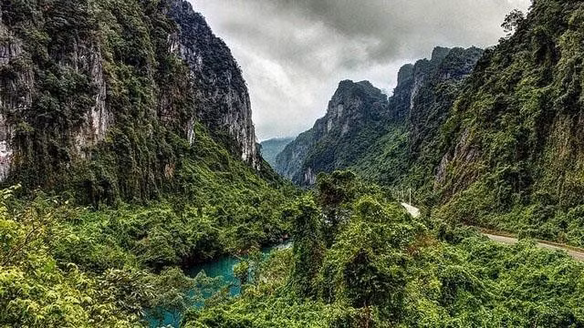 Đặt bẫy ảnh để xác minh hổ xuất hiện ở Vườn quốc gia Phong Nha-Kẻ Bàng -0