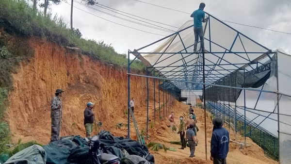 Đà Lạt tháo dỡ 97% nhà kính trên đất lâm nghiệp