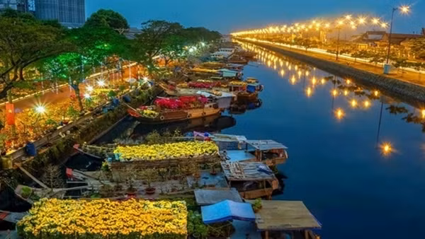 Ảm đạm mùa mai Tết ở “thủ phủ” mai vàng miền Trung ảnh 3