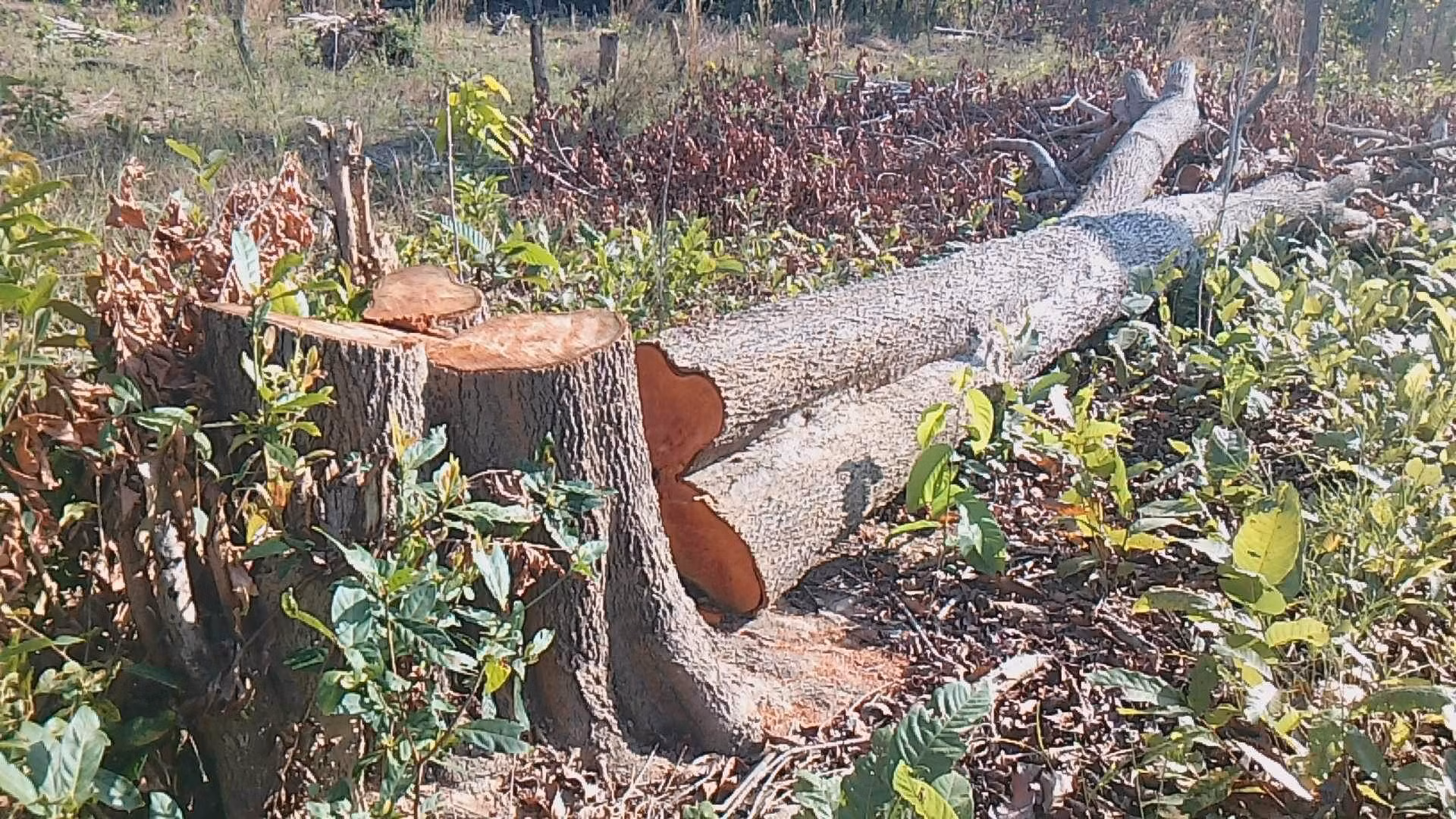 ảnh 2.jpg -0