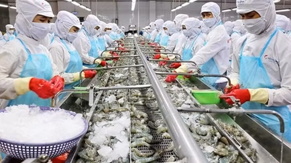 Giải pháp nào để "thương mại và phân phối" của Việt Nam phục hồi trong đại dịch COVID - 19? ảnh 4