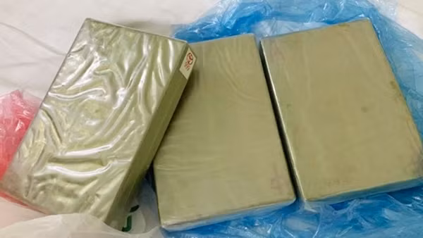 Mua vui với "măng non", 5 đối tượng bị khởi tố ảnh 2