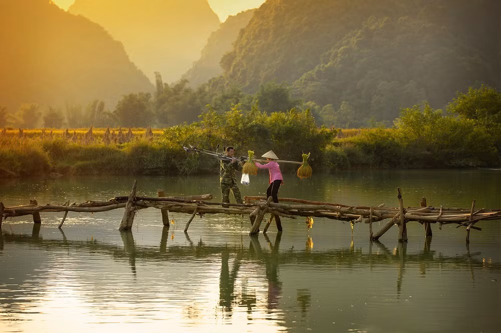 phong nam.jpg -0