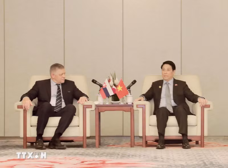 Chủ tịch nước gặp lãnh đạo các nước tại Lễ kỷ niệm chiến thắng phátxít -0