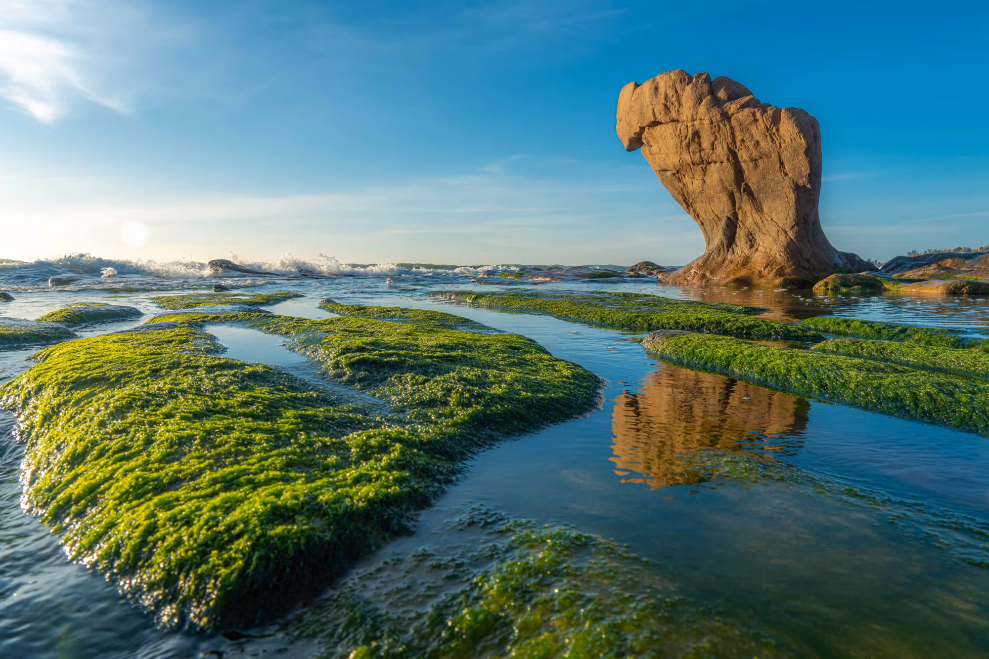 Mùa rêu xanh ở bãi biển Cổ Thạch -0