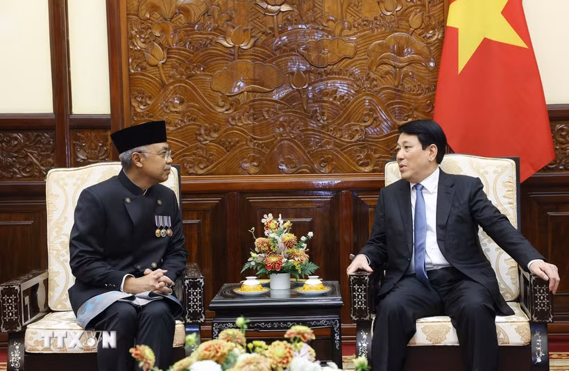 Chủ tịch nước Lương Cường tiếp Đại sứ Indonesia, Philippines trình thư ủy nhiệm -0