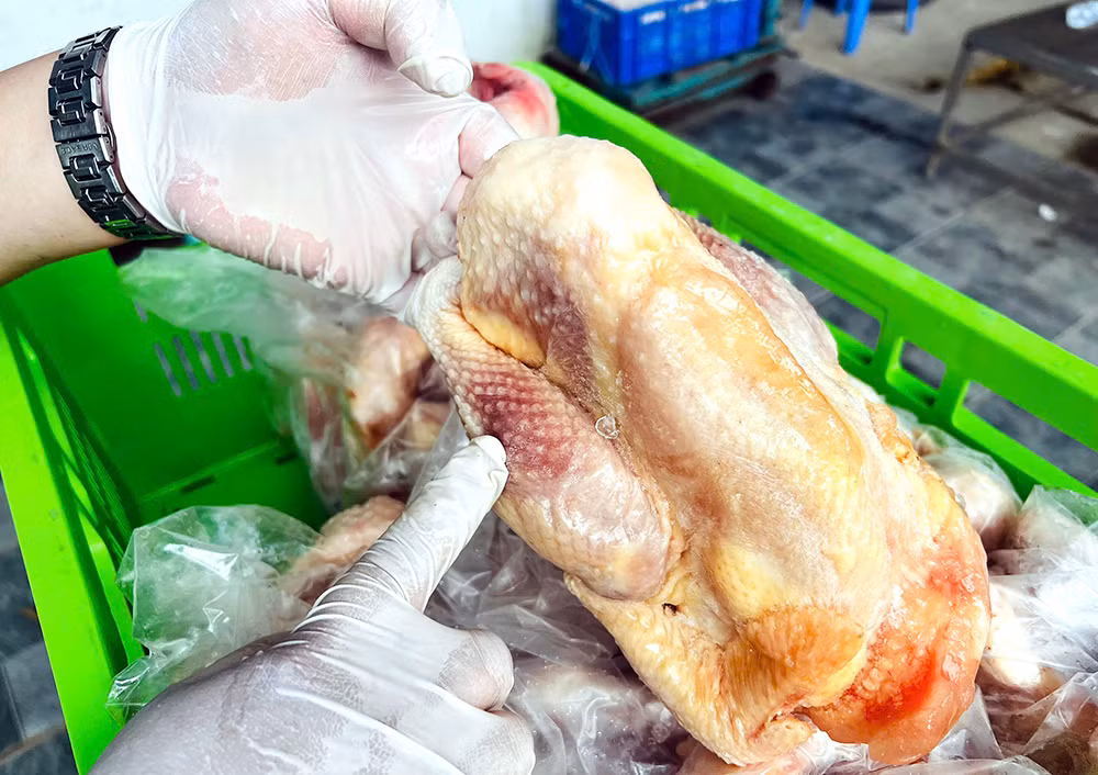 Ngăn chặn khoảng 20 tấn gà “bẩn” tuồn ra thị trường -0
