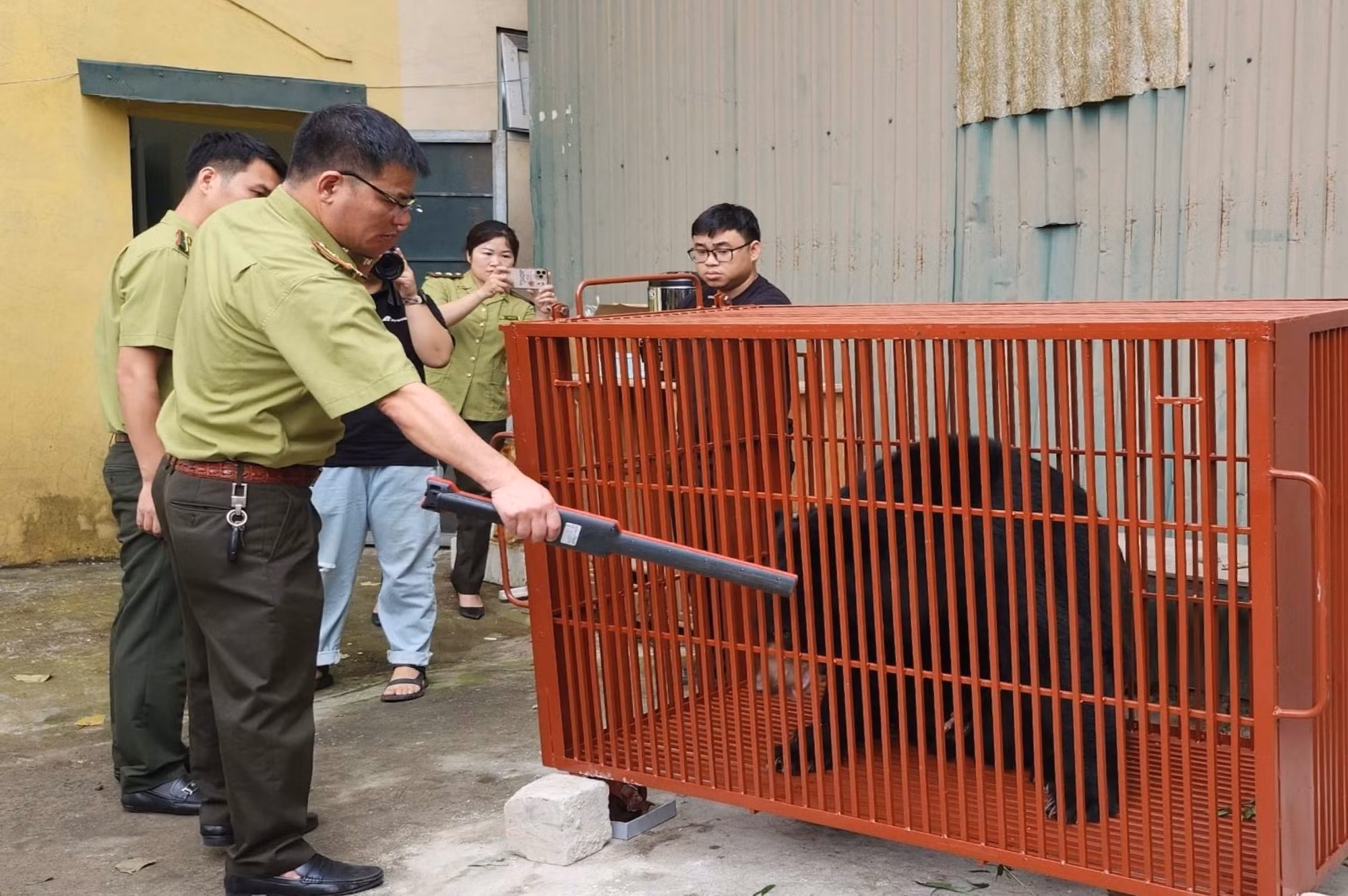 Cứu hộ 3 gấu ngựa đưa về Trung tâm Cứu hộ gấu Việt Nam tại Bạch Mã -0